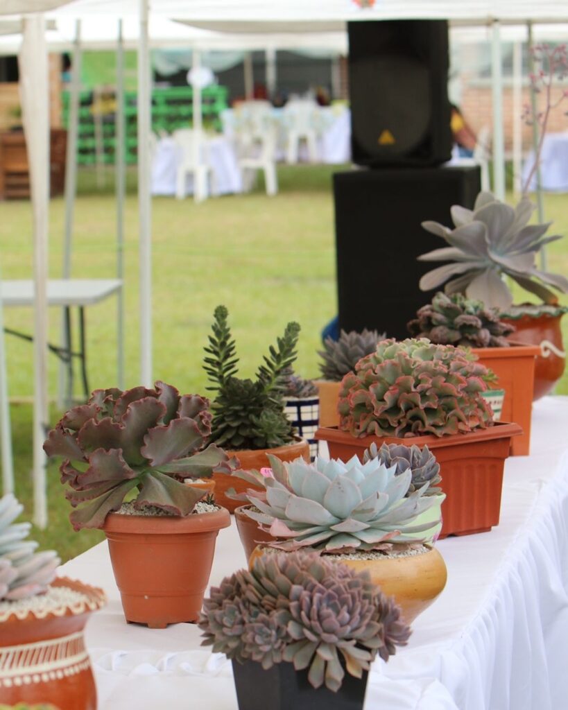Ministra de Turismo
