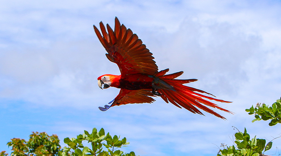 Turismo, Honduras