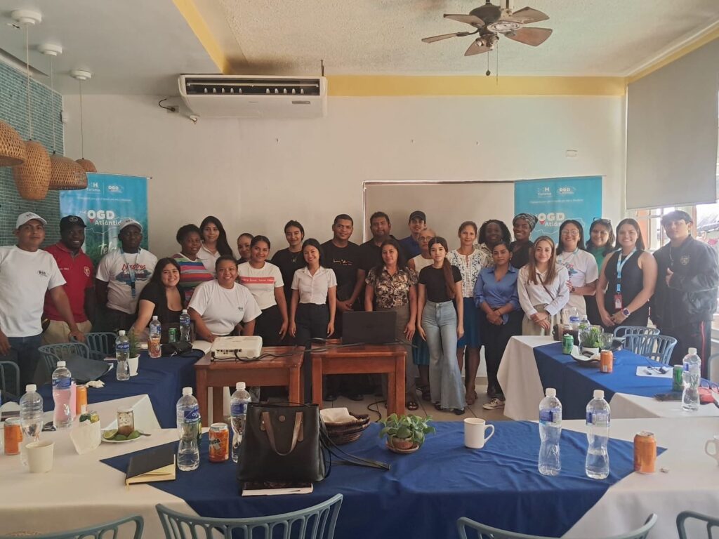 OGD Marketing Digital